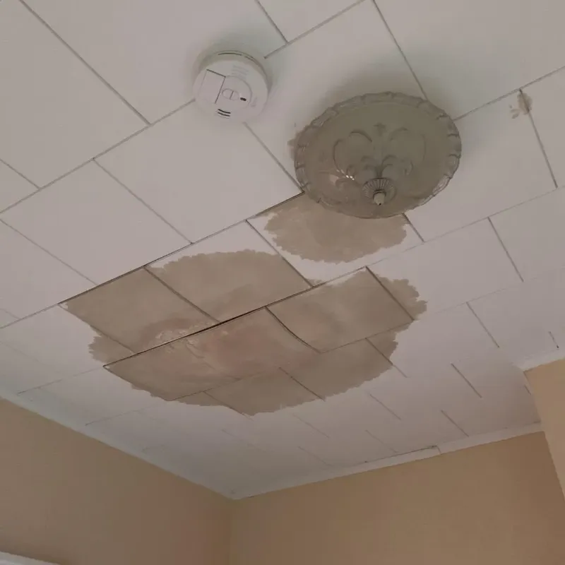 Ceiling Water Damage Repair in Rosita North, TX