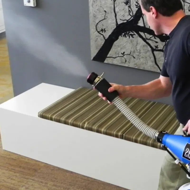 Professional Odor Removal in Rosita North, TX