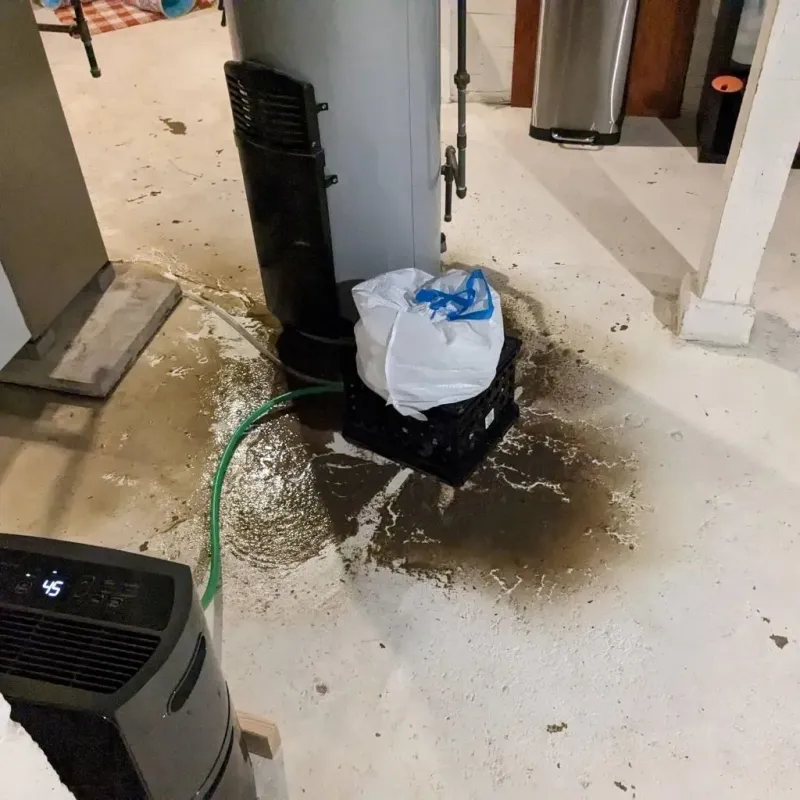 Sewage Backup Cleanup Service in Rosita North, TX